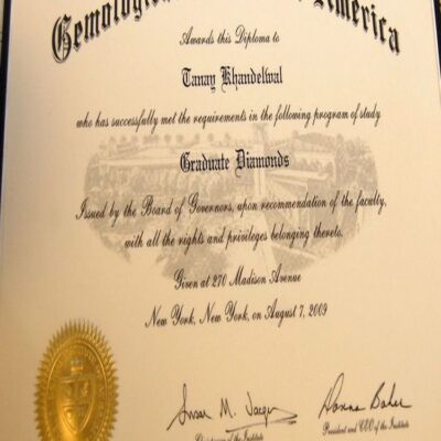 Buy Professorship Honorary degree from the American University of Antigua