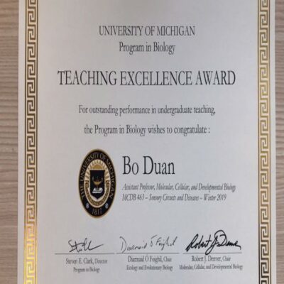 Buy Professorship Degree from The University of Michigan
