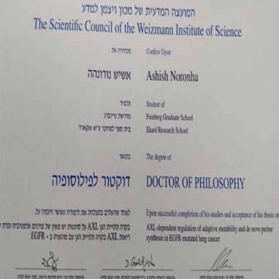 Buy  Transcript Certificate degree from the Weizmann Institute of Science